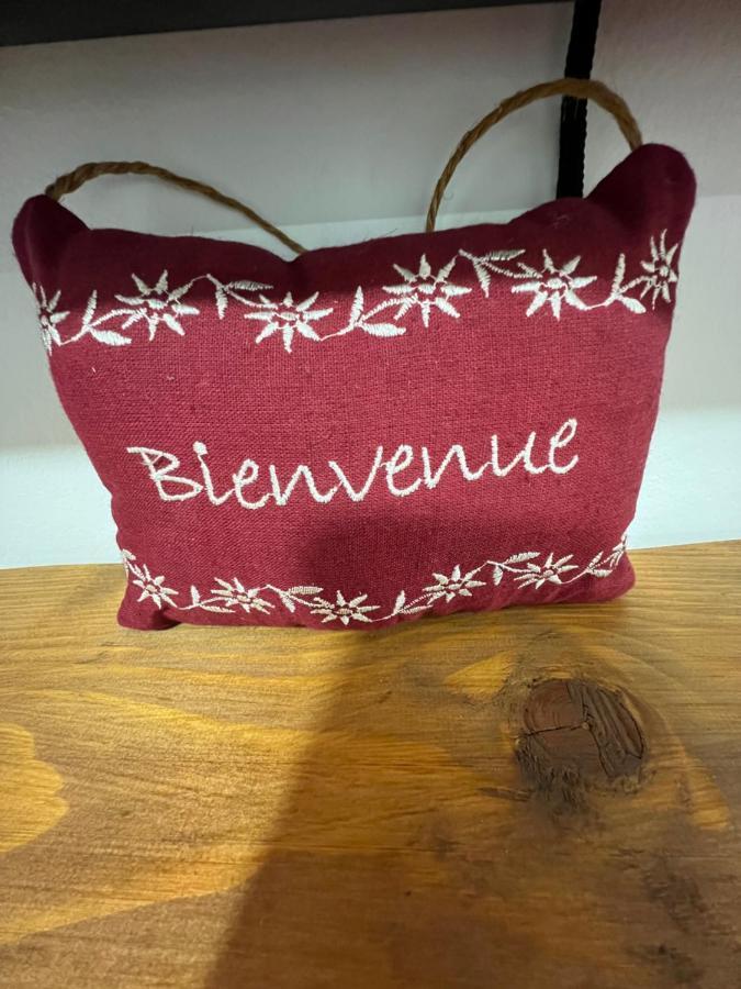 Les Gites De La Bergerie - Boule De Neige Мексимию Екстериор снимка
